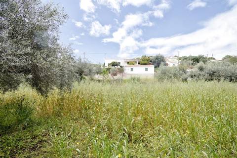 Terreno Rústico  Venda em Alcoutim e Pereiro,Alcoutim