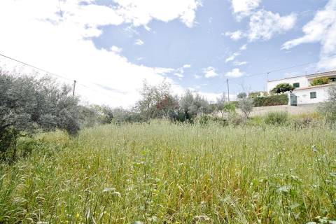 Terreno Rústico  Venda em Alcoutim e Pereiro,Alcoutim