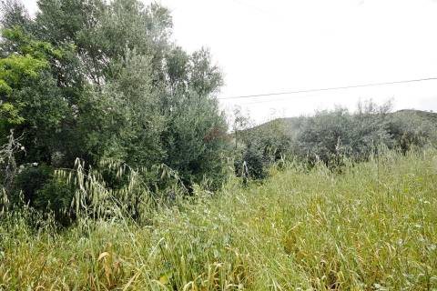 Terreno Rústico  Venda em Alcoutim e Pereiro,Alcoutim