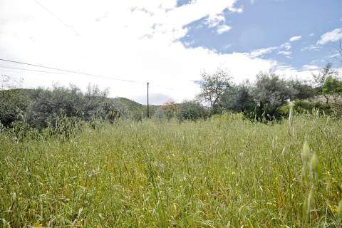 Terreno Rústico  Venda em Alcoutim e Pereiro,Alcoutim