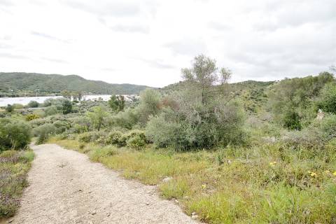 Terreno Rústico  Venda em Alcoutim e Pereiro,Alcoutim