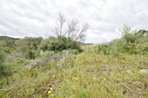 Terreno Rústico  Venda em Alcoutim e Pereiro,Alcoutim