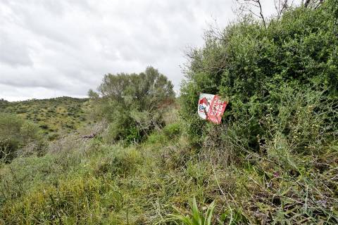 Terreno Rústico  Venda em Alcoutim e Pereiro,Alcoutim