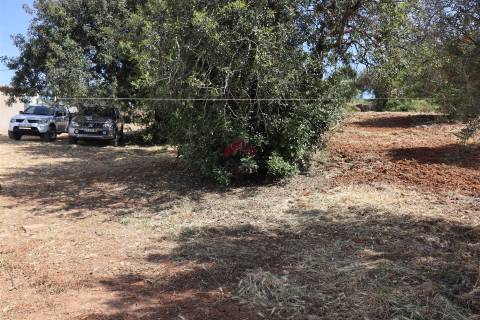 Moradia Isolada T4 Venda em Santa Bárbara de Nexe,Faro