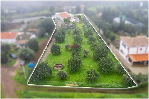 Moradia Rústica T3 Venda em Santa Catarina da Fonte do Bispo,Tavira