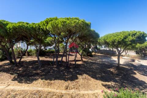 Apartamento T1 Venda em Quarteira,Loulé