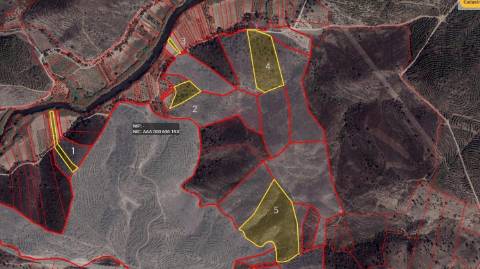 Terreno Rústico  Venda em Odeleite,Castro Marim