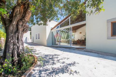 Moradia Isolada T4 Venda em São Brás de Alportel,São Brás de Alportel