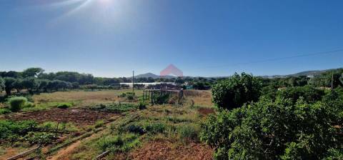 Moradia Isolada T3 Venda em Conceição e Estoi,Faro