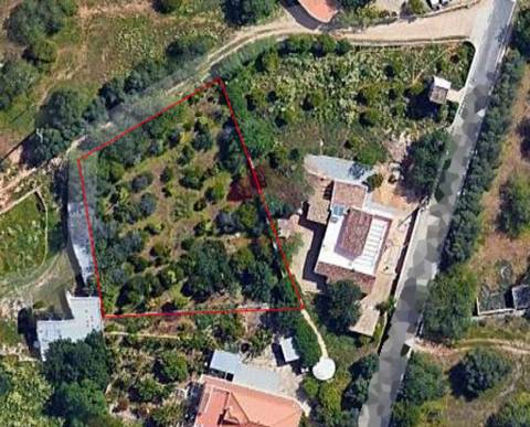 Terreno Para Construção T3 Venda em Almancil,Loulé