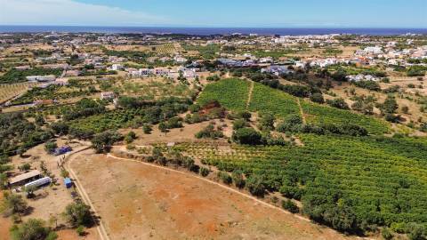 Terreno Rústico  Venda em Albufeira e Olhos de Água,Albufeira