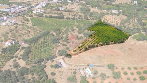 Terreno Rústico  Venda em Albufeira e Olhos de Água,Albufeira