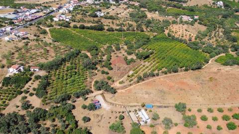 Terreno Rústico  Venda em Albufeira e Olhos de Água,Albufeira
