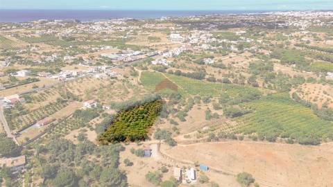 Terreno Rústico  Venda em Albufeira e Olhos de Água,Albufeira