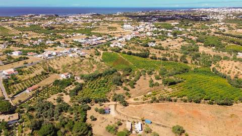 Terreno Rústico  Venda em Albufeira e Olhos de Água,Albufeira