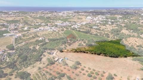 Terreno Rústico  Venda em Albufeira e Olhos de Água,Albufeira