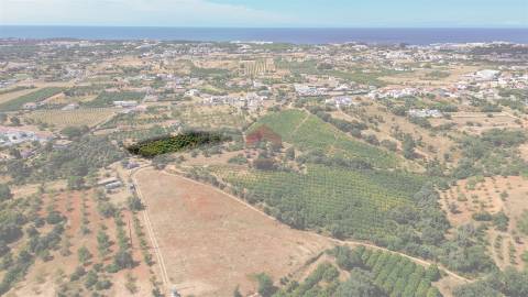 Terreno Rústico  Venda em Albufeira e Olhos de Água,Albufeira