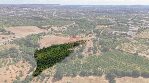 Terreno Rústico  Venda em Albufeira e Olhos de Água,Albufeira