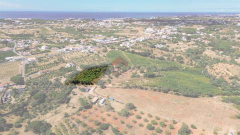 Terreno Rústico  Venda em Albufeira e Olhos de Água,Albufeira