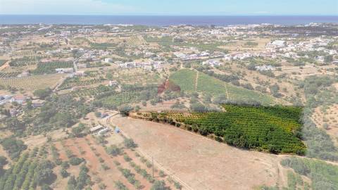 Terreno Rústico  Venda em Albufeira e Olhos de Água,Albufeira
