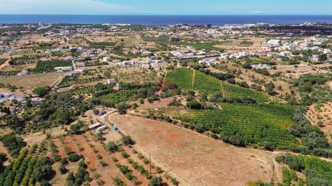 Terreno Rústico  Venda em Albufeira e Olhos de Água,Albufeira