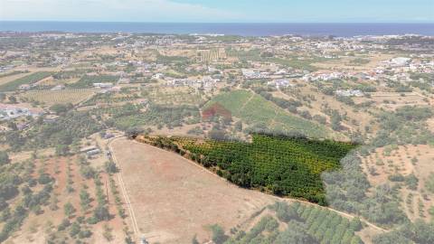 Terreno Rústico  Venda em Albufeira e Olhos de Água,Albufeira