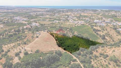 Terreno Rústico  Venda em Albufeira e Olhos de Água,Albufeira