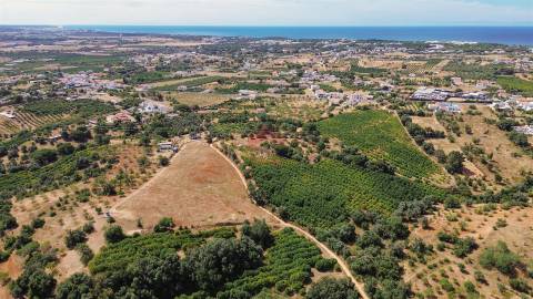 Terreno Rústico  Venda em Albufeira e Olhos de Água,Albufeira
