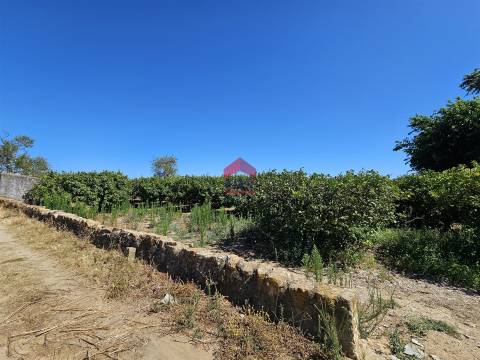 Moradia Isolada T9 Venda em Conceição e Estoi,Faro