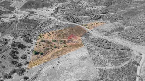 Terreno Rústico  Venda em Azinhal,Castro Marim