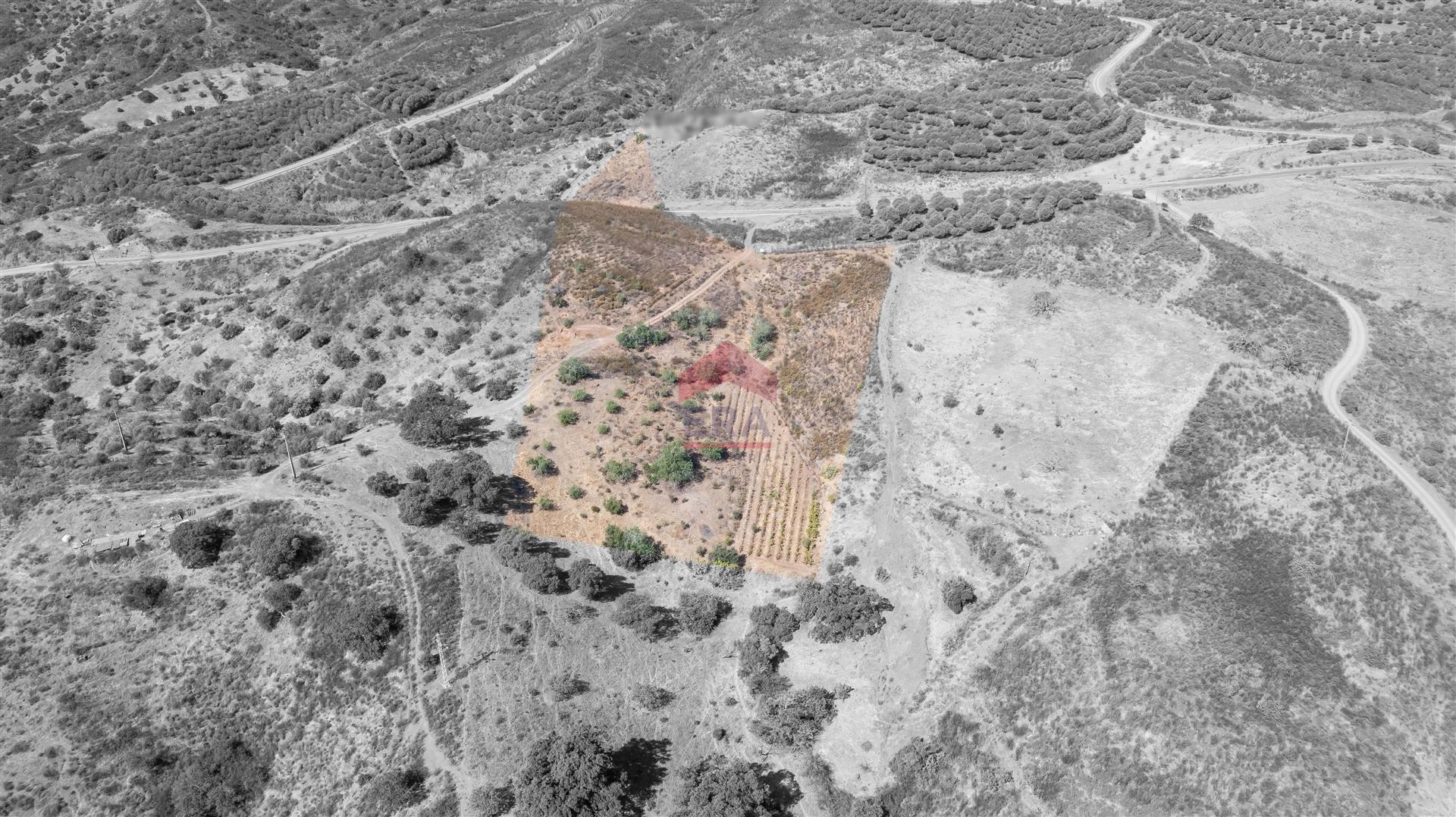 Terreno Rústico  Venda em Azinhal,Castro Marim