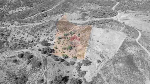 Terreno Rústico  Venda em Azinhal,Castro Marim