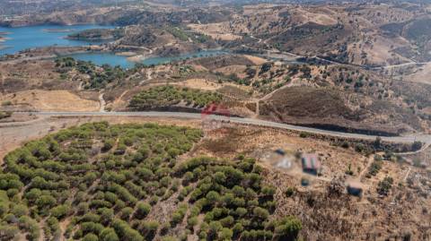 Terreno Rústico  Venda em Azinhal,Castro Marim