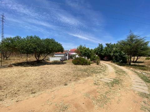 Terreno Rústico  Venda em Conceição e Estoi,Faro