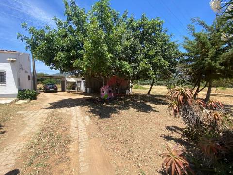 Terreno Rústico  Venda em Conceição e Estoi,Faro