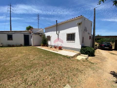 Terreno Rústico  Venda em Conceição e Estoi,Faro