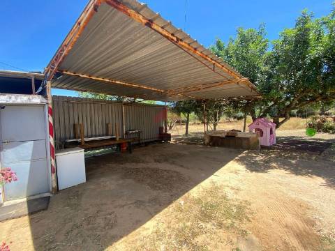 Terreno Rústico  Venda em Conceição e Estoi,Faro