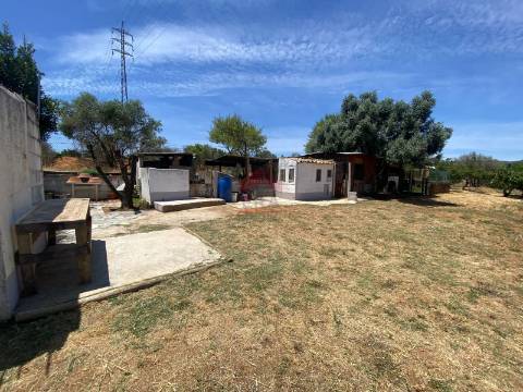Terreno Rústico  Venda em Conceição e Estoi,Faro