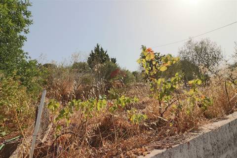 Armazém  Venda em Loulé (São Sebastião),Loulé