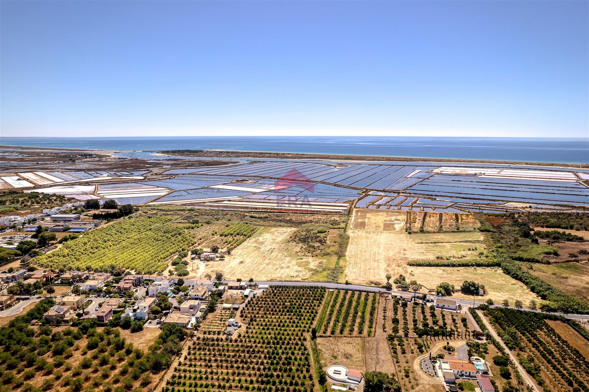 Quinta T3 Venda em Santa Luzia,Tavira