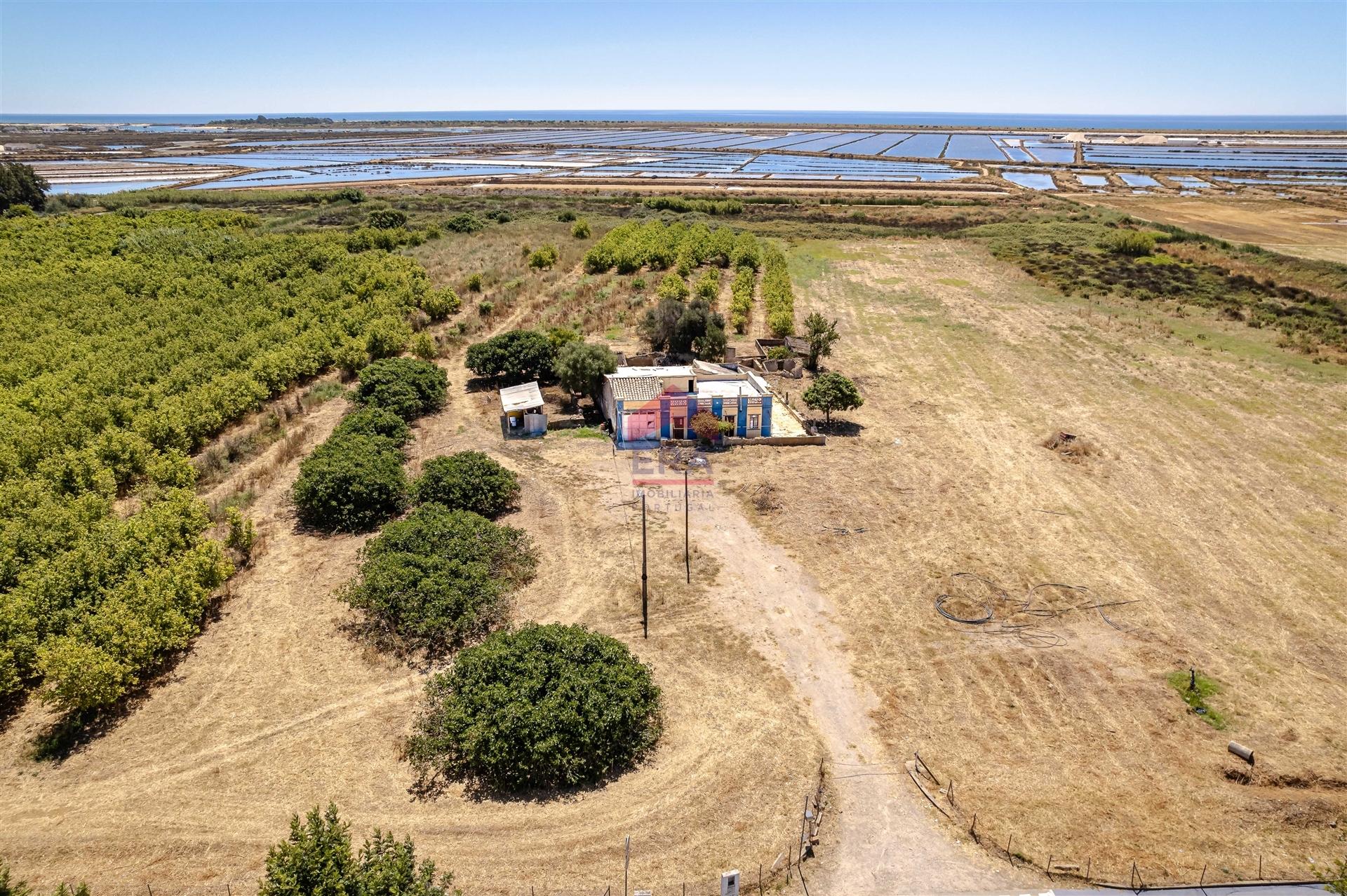 Quinta T3 Venda em Santa Luzia,Tavira