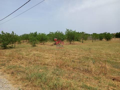 Armazém  Venda em Luz de Tavira e Santo Estêvão,Tavira