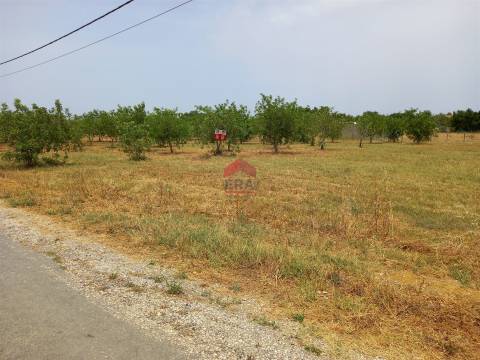Armazém  Venda em Luz de Tavira e Santo Estêvão,Tavira