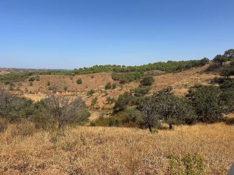 Terreno Rústico  Venda em Odeleite,Castro Marim