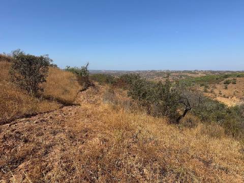 Terreno Rústico  Venda em Odeleite,Castro Marim