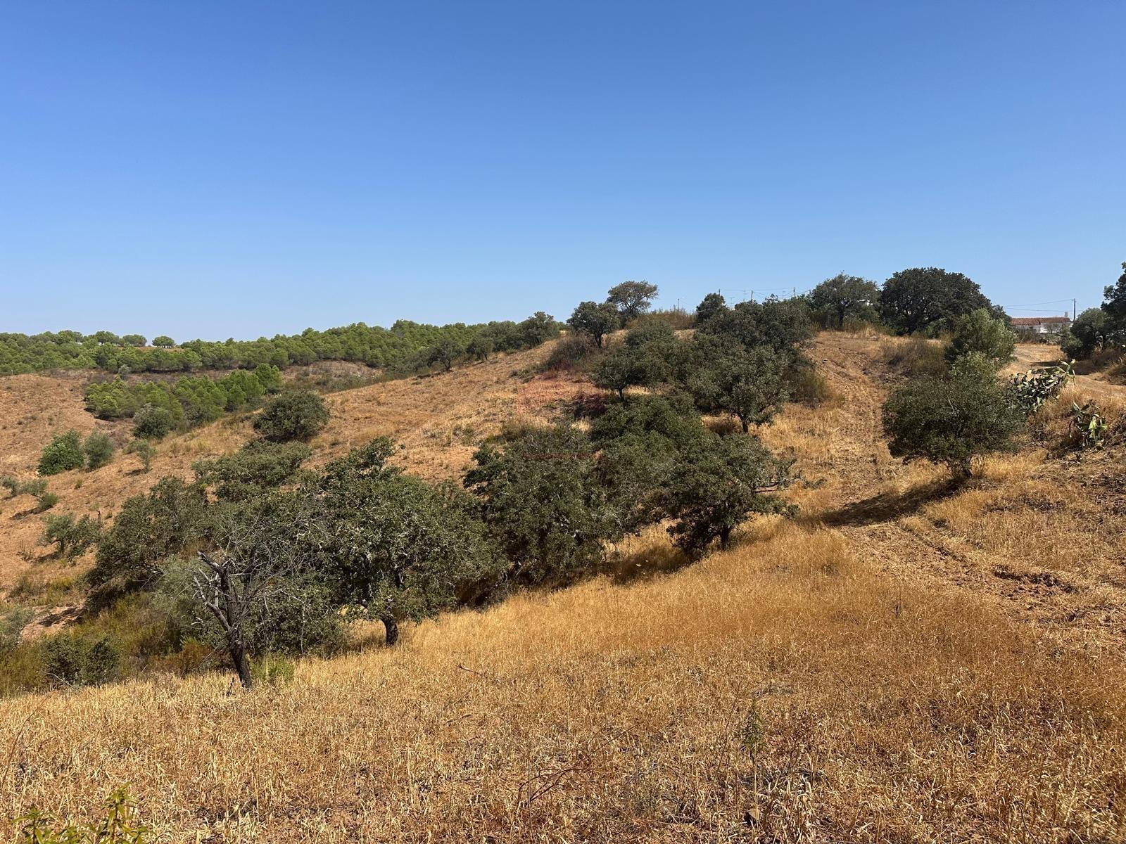 Terreno Rústico  Venda em Odeleite,Castro Marim