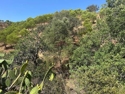 Terreno Rústico  Venda em Odeleite,Castro Marim