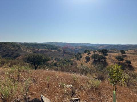 Terreno Rústico  Venda em Azinhal,Castro Marim