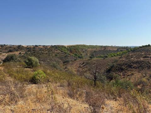 Terreno Rústico  Venda em Odeleite,Castro Marim