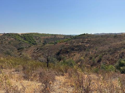 Terreno Rústico  Venda em Odeleite,Castro Marim